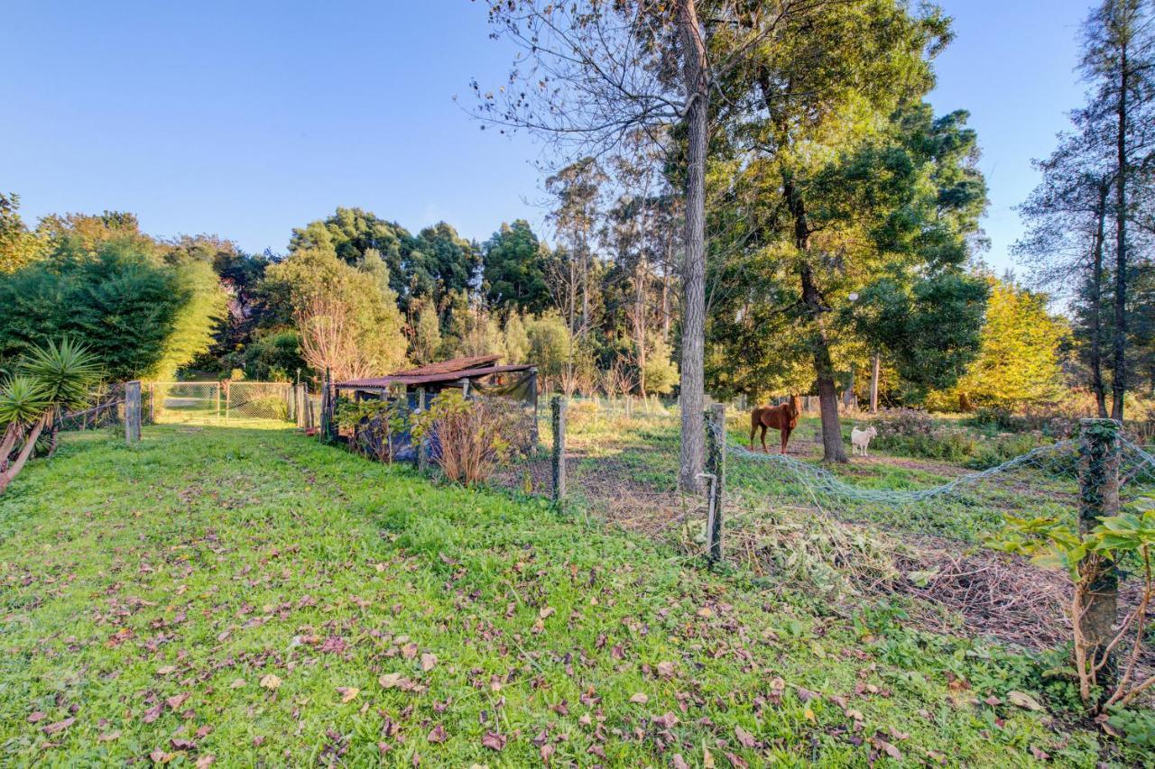 Casa Do Moinho Rural Campo E Praia , 9 Pessoas, Animais Benvindos Espinho  Esterno foto