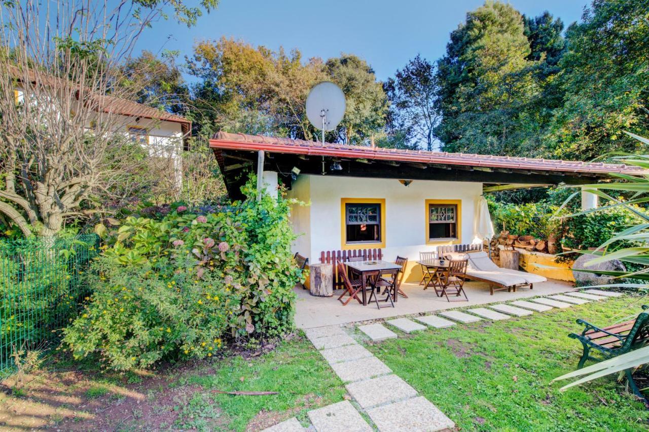 Casa Do Moinho Rural Campo E Praia , 9 Pessoas, Animais Benvindos Espinho  Esterno foto