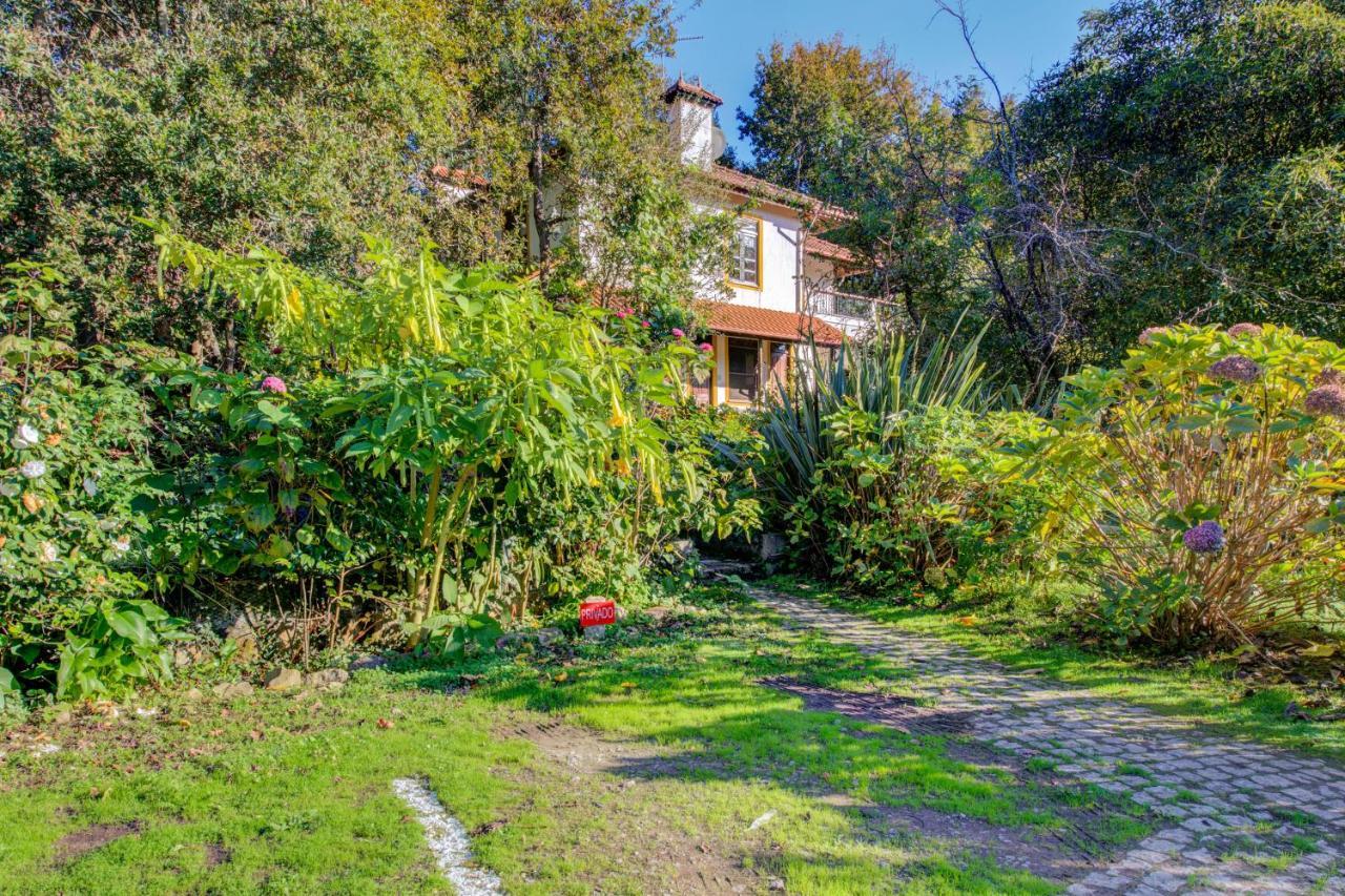 Casa Do Moinho Rural Campo E Praia , 9 Pessoas, Animais Benvindos Espinho  Esterno foto