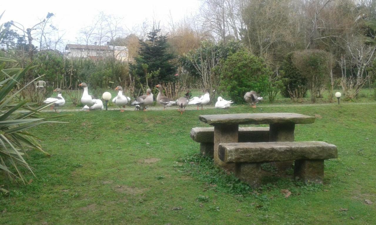 Casa Do Moinho Rural Campo E Praia , 9 Pessoas, Animais Benvindos Espinho  Esterno foto